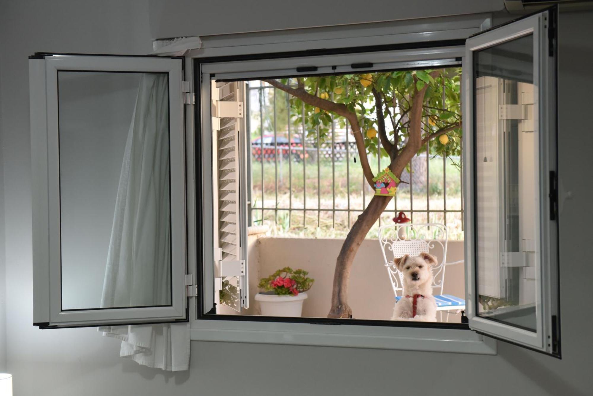 Lechaio Fanis Apartment מראה חיצוני תמונה